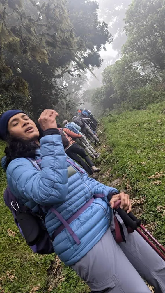 Mount Kilimanjaro trekking landscape